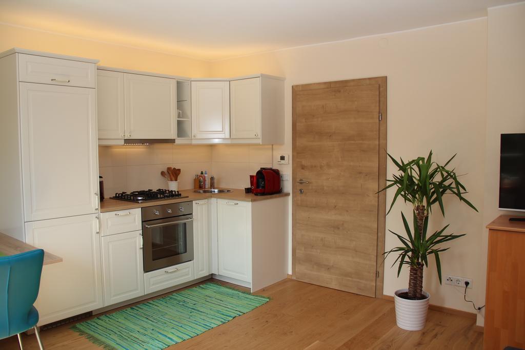 Apartment Klessheim Σάλτσμπουργκ Εξωτερικό φωτογραφία